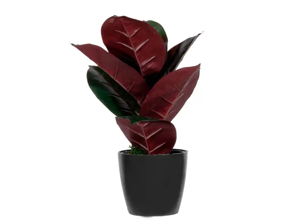 [174921] Planta artificial paperflow ficus elastica 36 cm